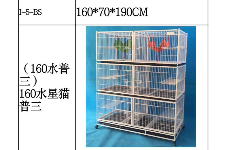 03.jpg